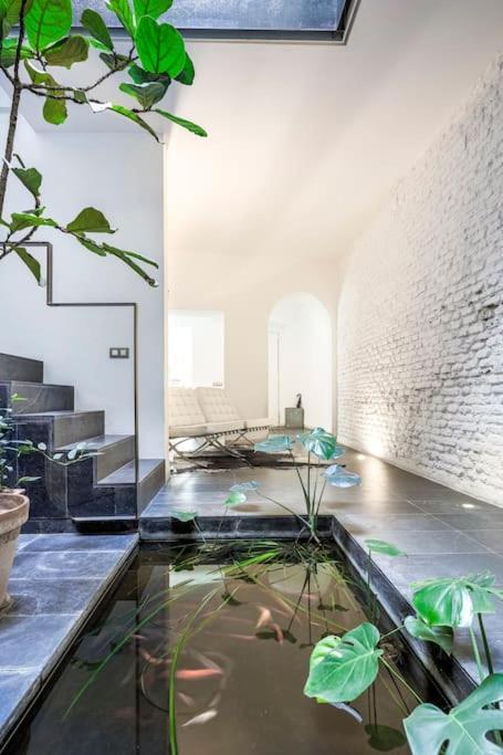 Exclusivo Apartamento De Diseno Centro Sevilla Matahacas Bajo Экстерьер фото