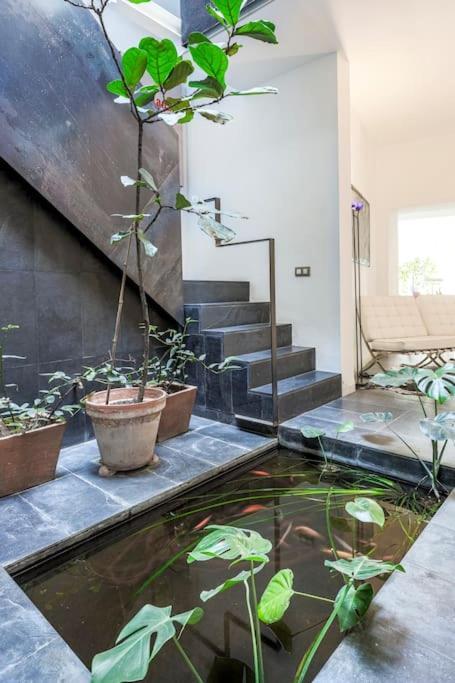 Exclusivo Apartamento De Diseno Centro Sevilla Matahacas Bajo Экстерьер фото